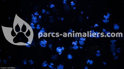 Aquarium Paris